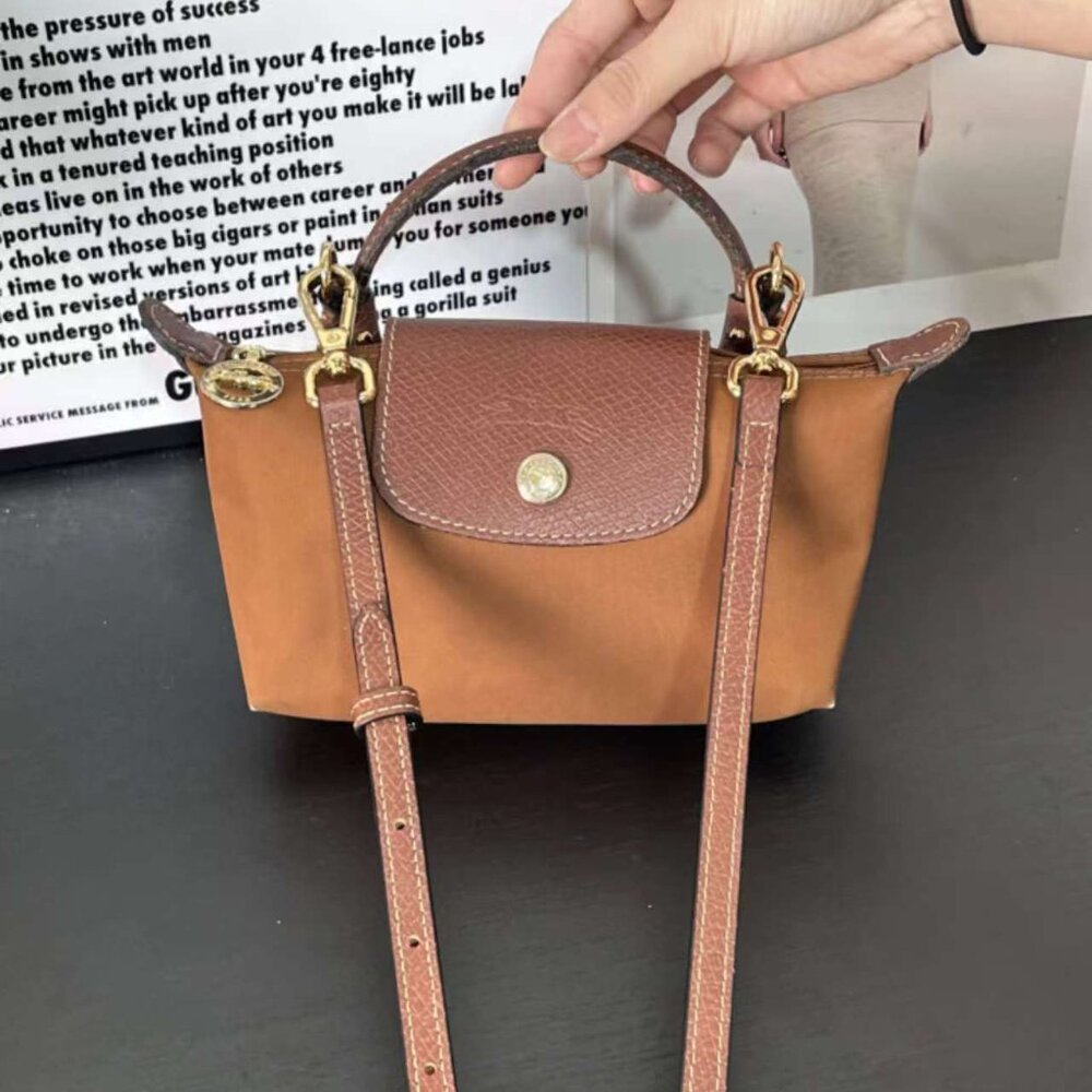 Longchamp Mini Bag in Brown and Tan